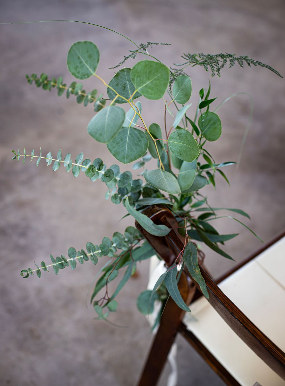 Fresh eucalyptus branches arranged in simple vases on wooden surfaces.