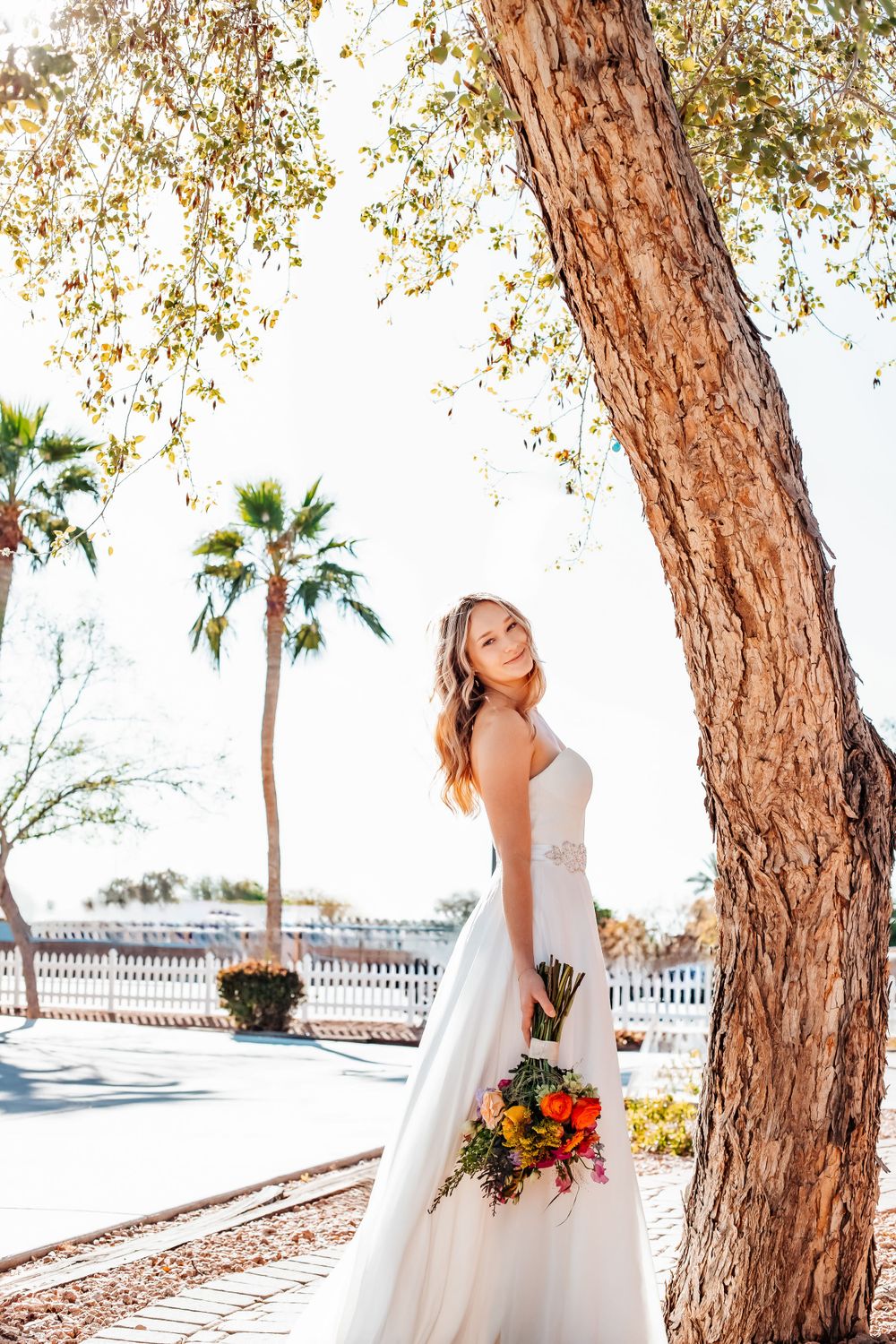 Bridal portraits in a sun-drenched desert landscape with palm trees and natural lighting.