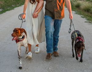 Couple walking two dogs on leashes down a gravel path outdoors.