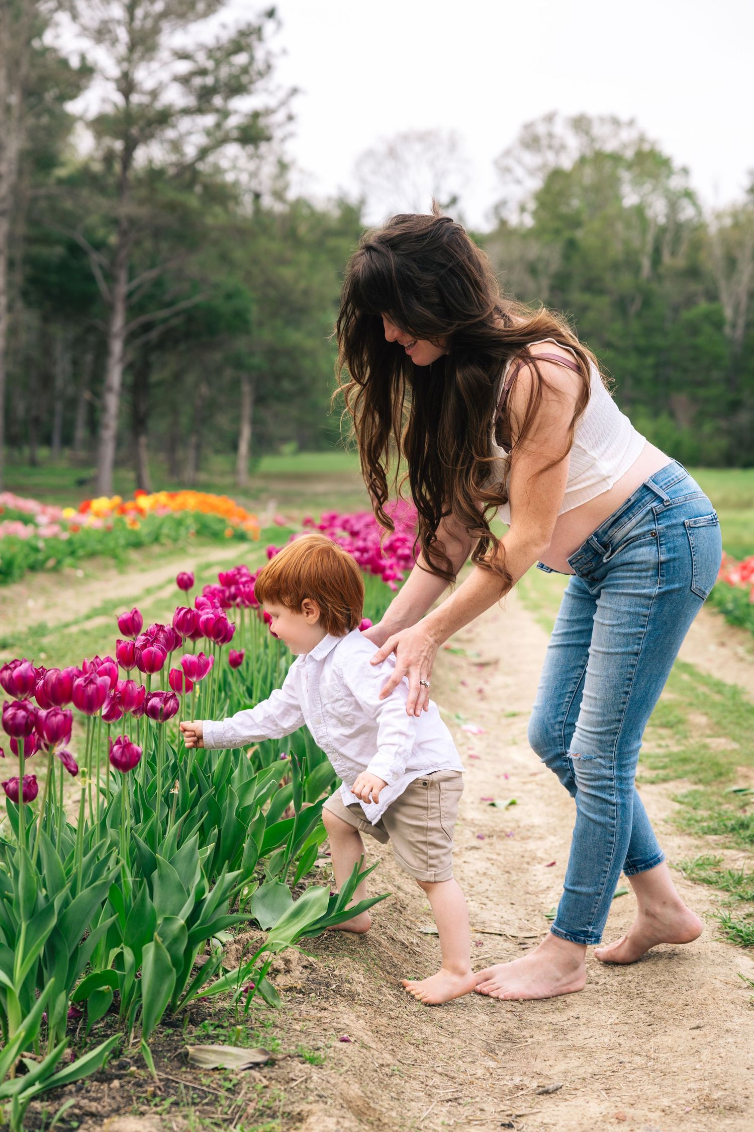 A series of photos showing a person in jeans and white top smelling pink tulips in a garden path.