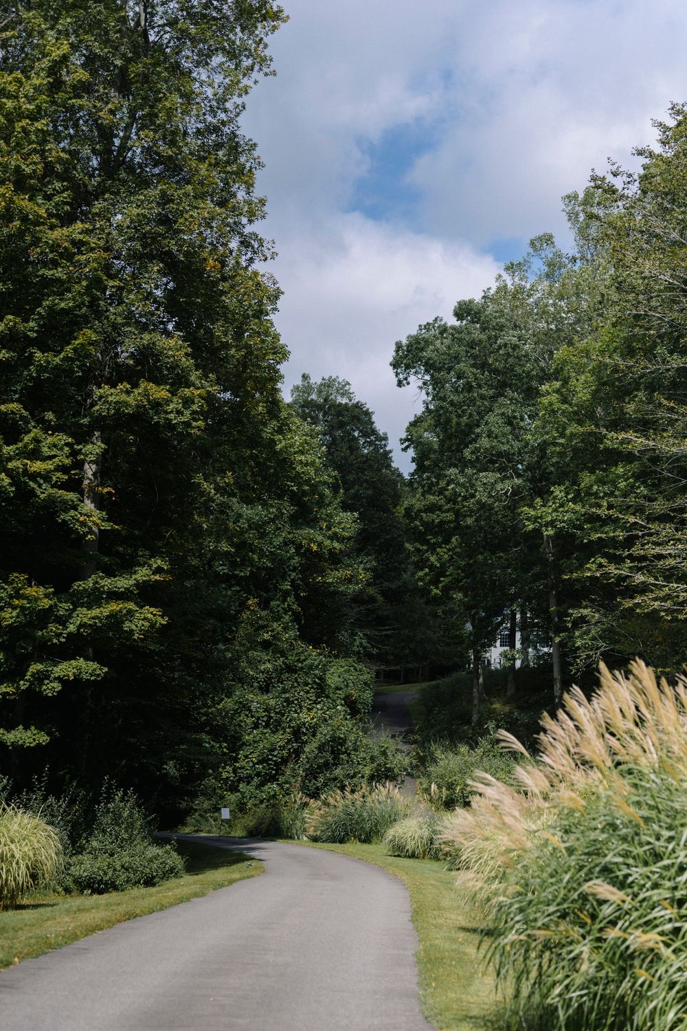 A curved asphalt path winds through lush green trees and tall ornamental grasses on a partly cloudy summer day.