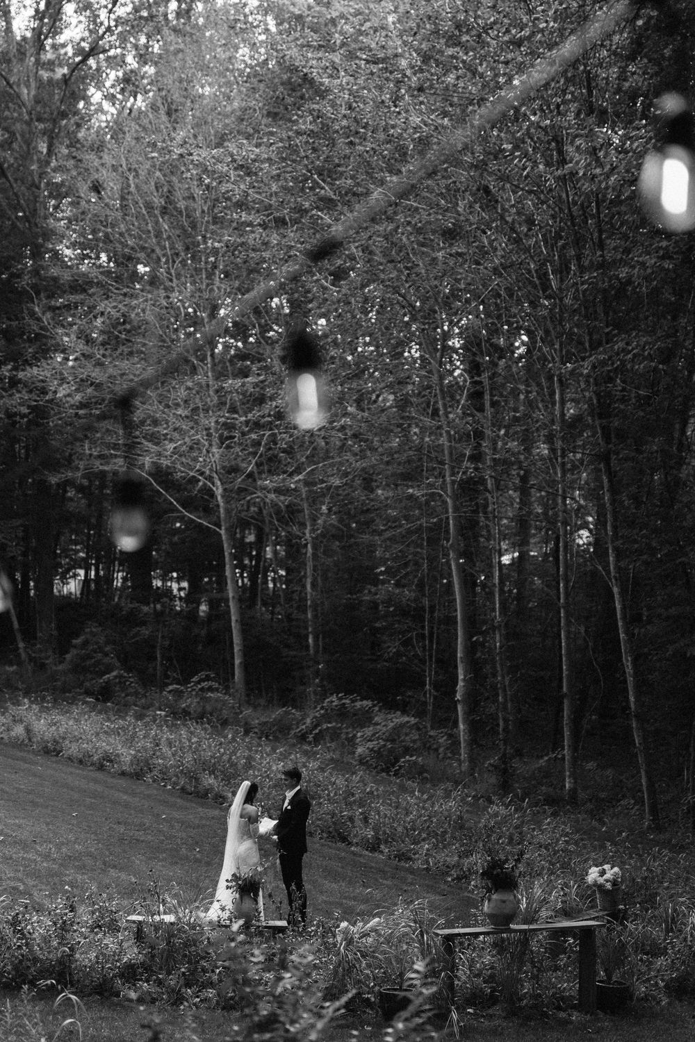 A black and white panoramic sequence shows a romantic outdoor wedding ceremony scene in a wooded forest setting.