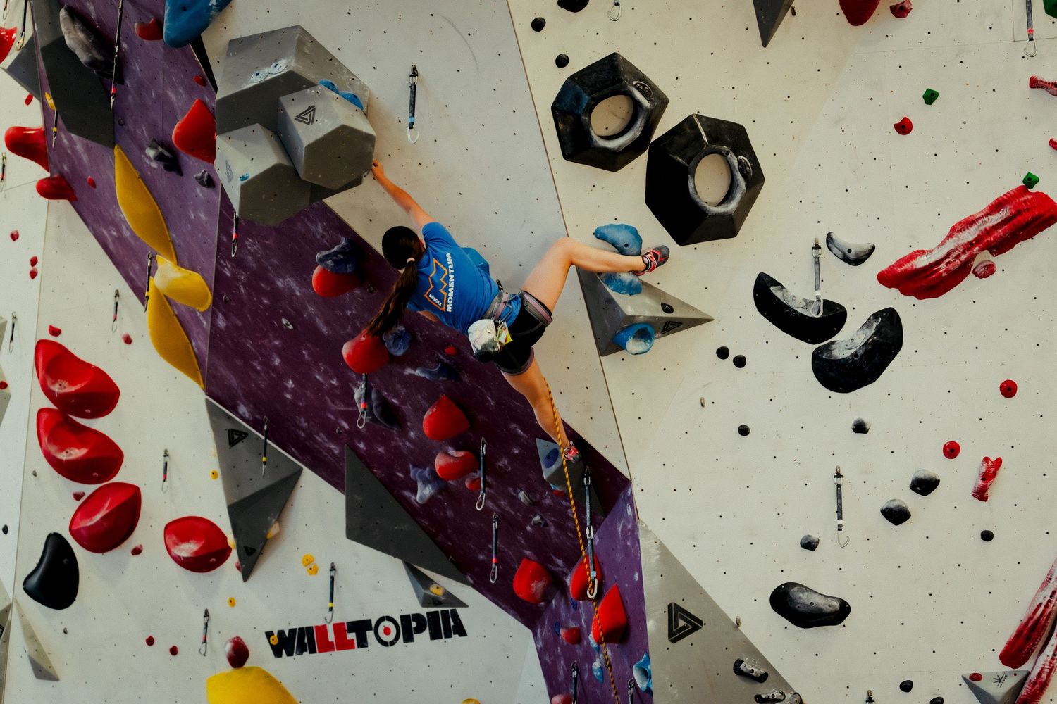 Close-up of colorful climbing wall with purple holds and scattered hardware.