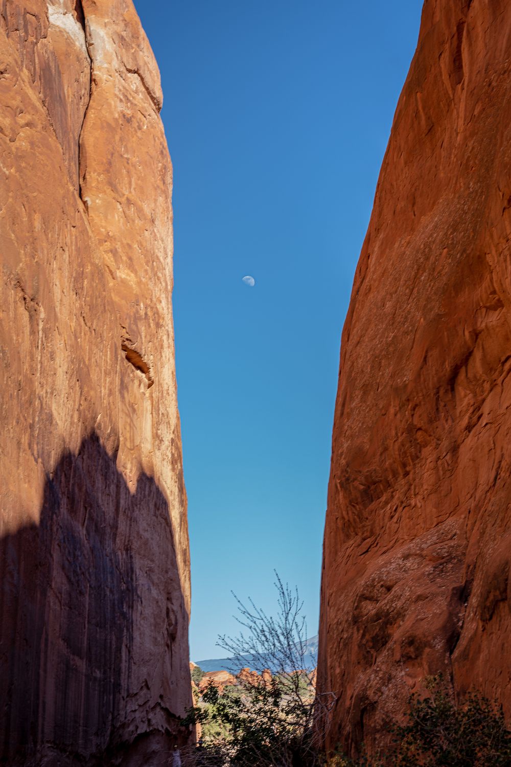 Moon visible between tall red rock canyon walls in dramatic desert composition.