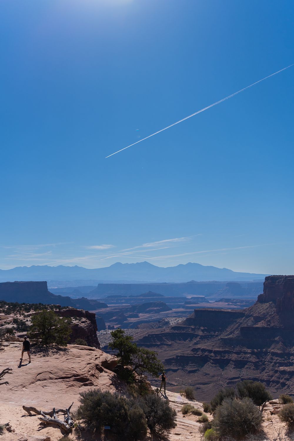 Contrasting blue sky with airplane trail over vast desert canyon landscapes.