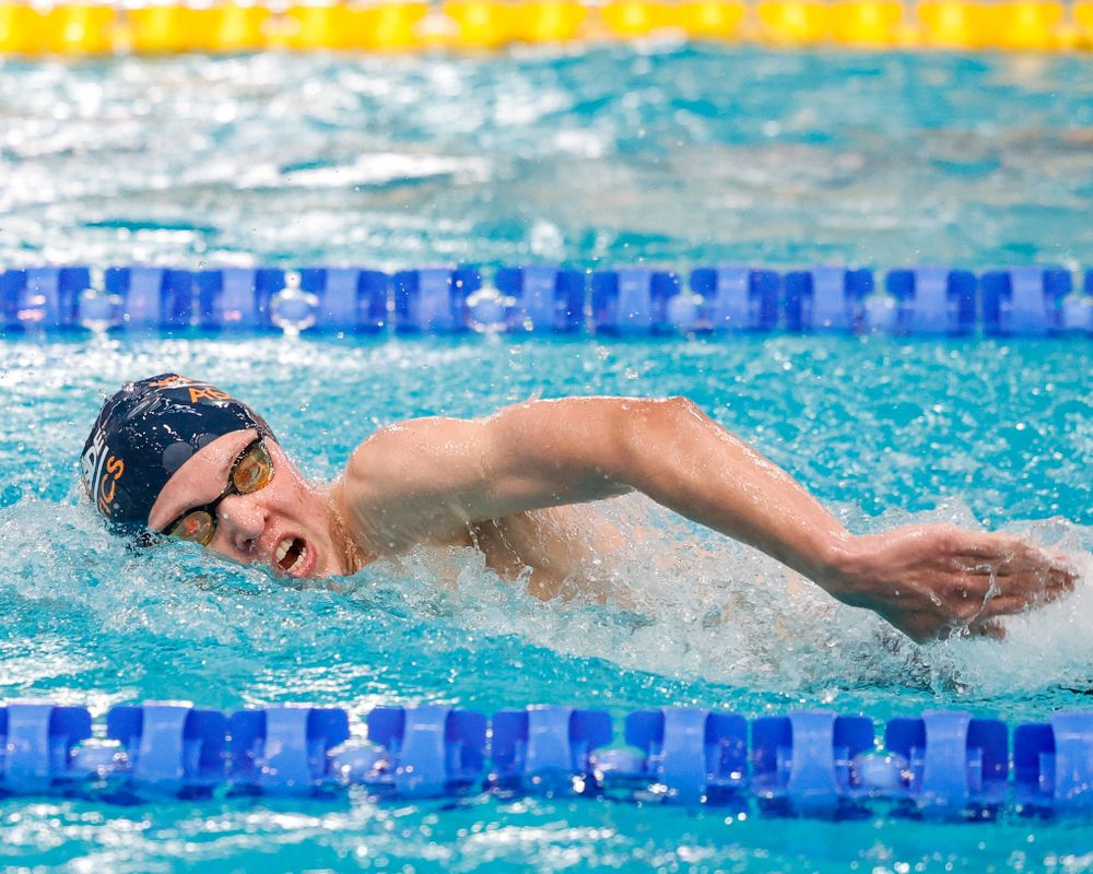 Action swimming photo taken by Sunshine Coast Sports Photographer, Rachel Wright