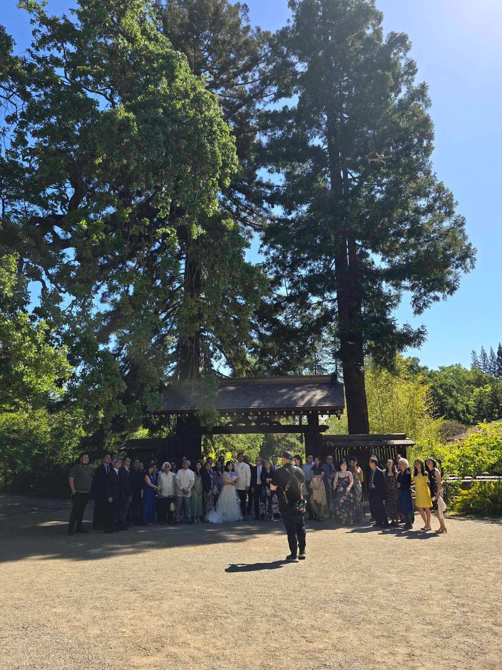 Large crowd gathers under wooden pavilion surrounded by tall pine trees on sunny day.