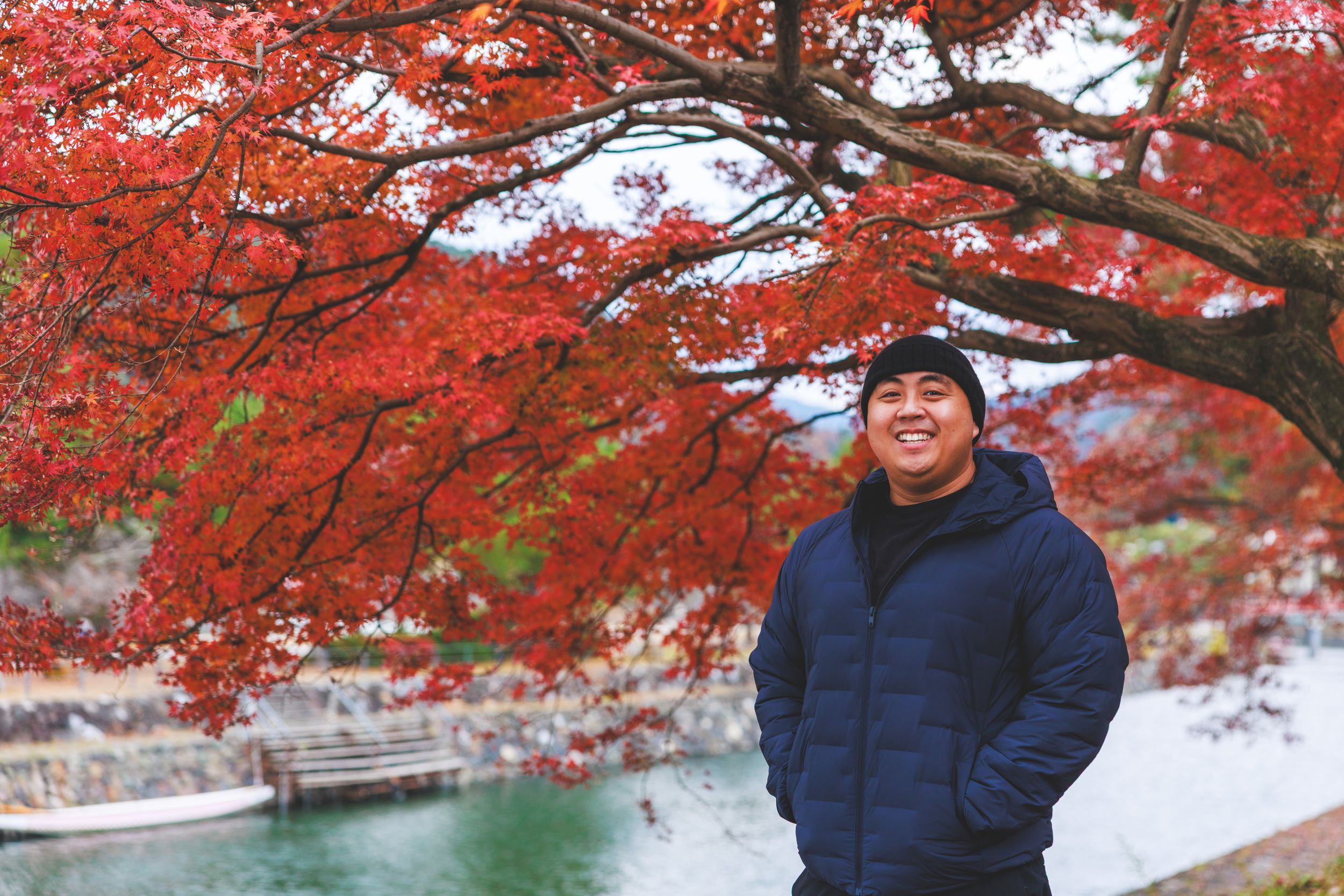 Person standing under vibrant red Japanese maple trees during autumn season in a park setting.