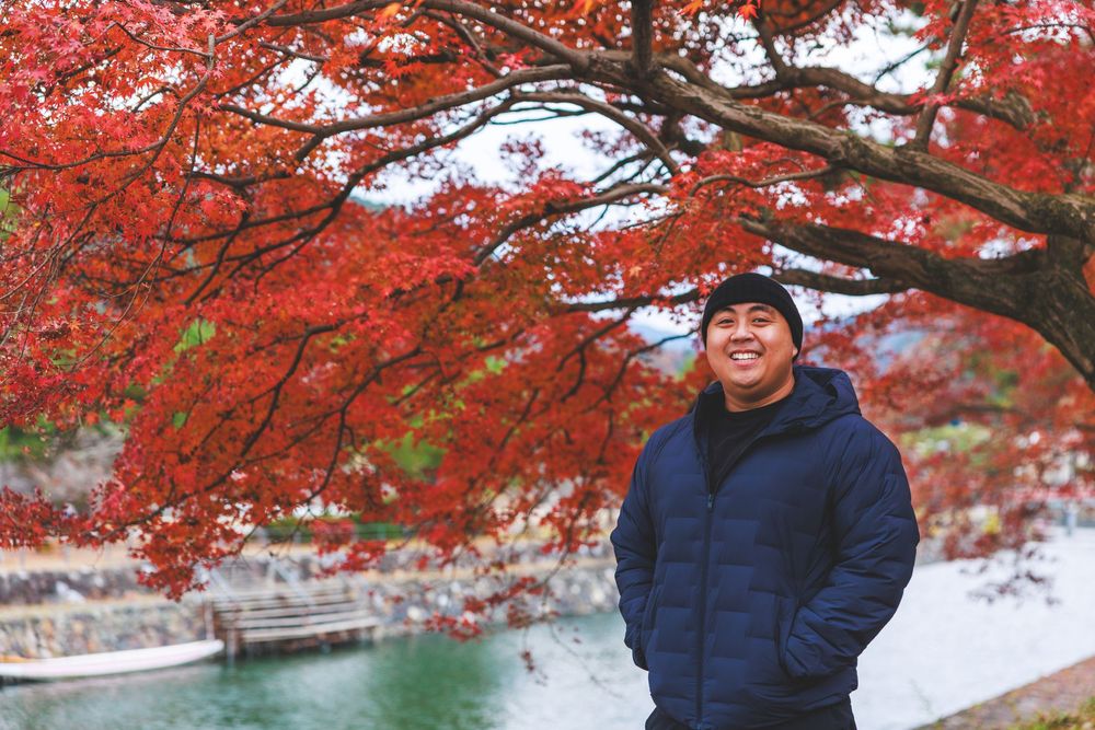 Person standing under vibrant red Japanese maple trees during autumn season in a park setting.