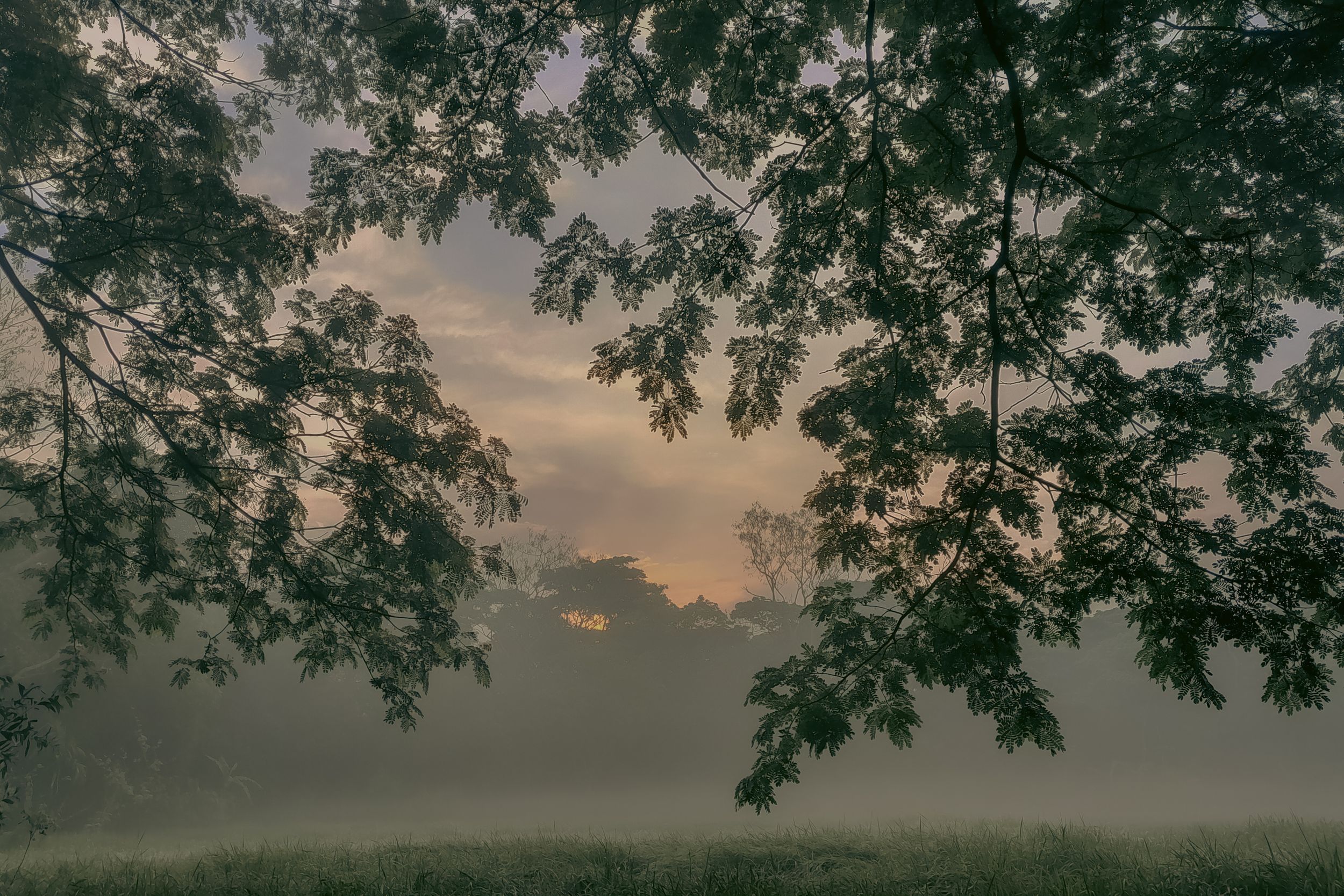 Natural Beauty.

#ElysianLightBD #elysianlightbd