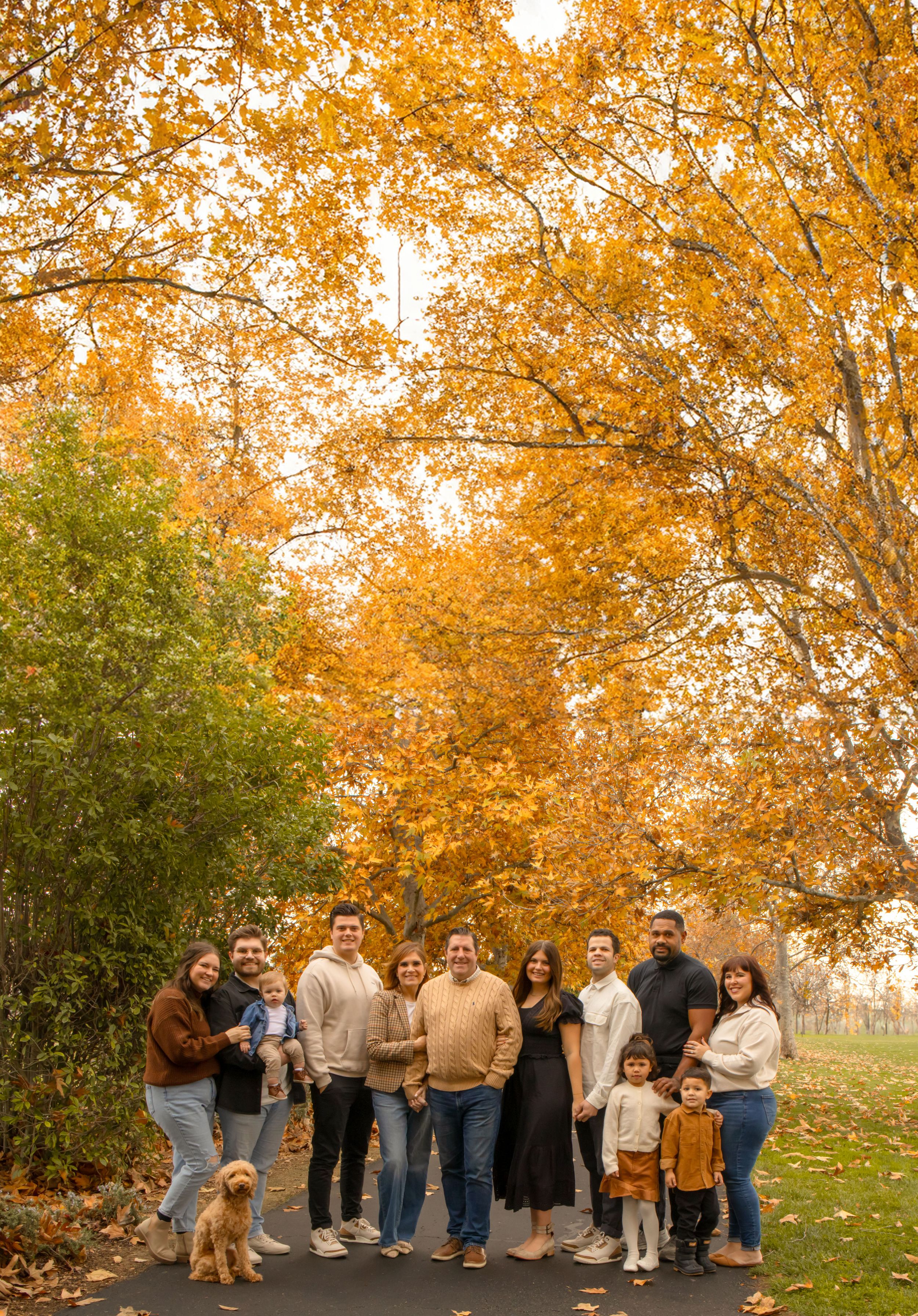 Extended family photos with beautiful orange fall trees above them.