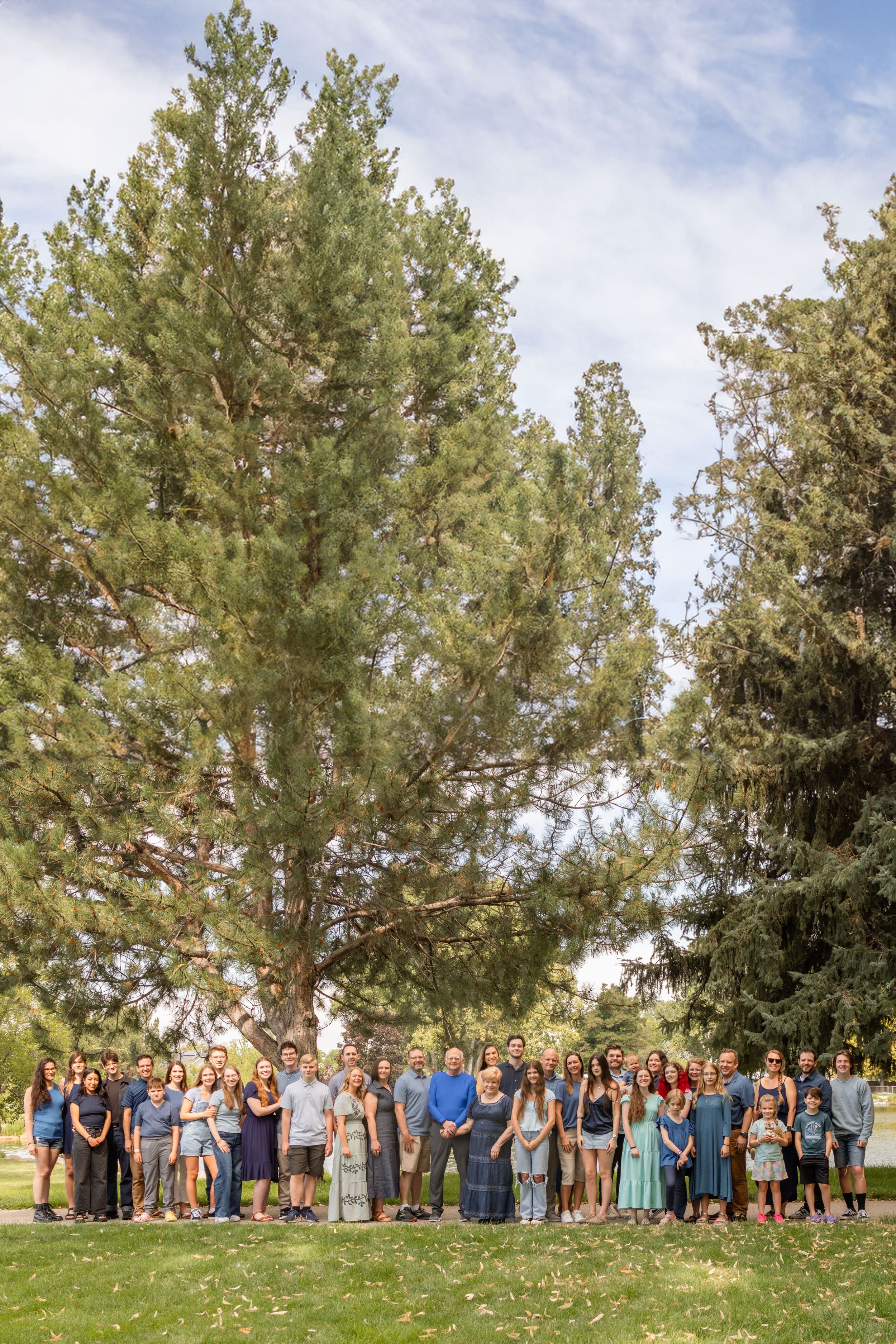 extended family photos in the park