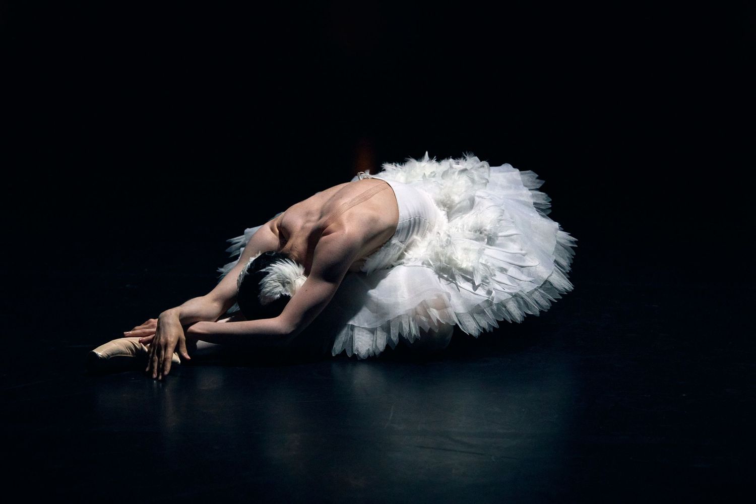 retrato minimalista de una bailarina clasica en clave baja