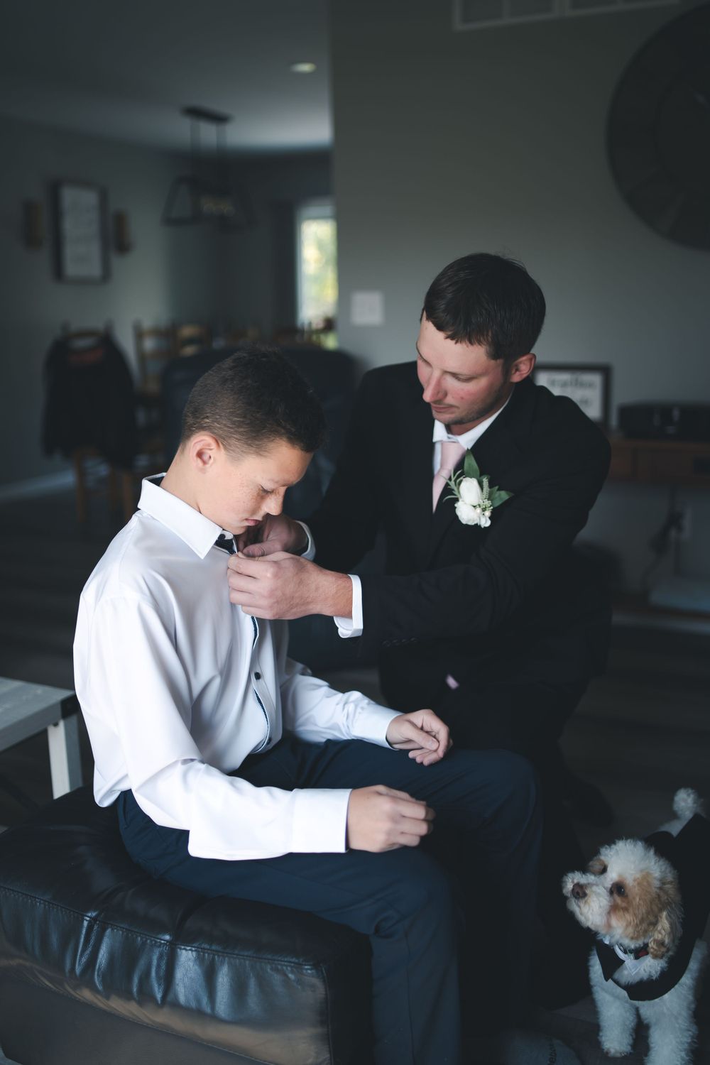 A formal preparation scene with a small white dog watching nearby.
