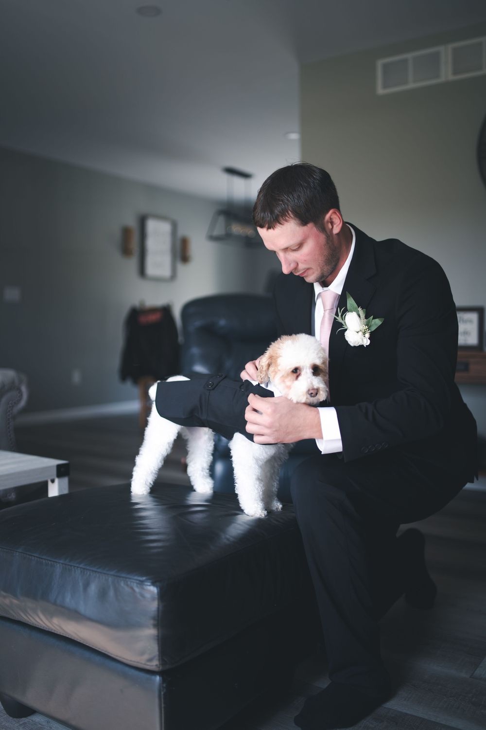 A person in formal attire pets a small white dog on a dark couch.