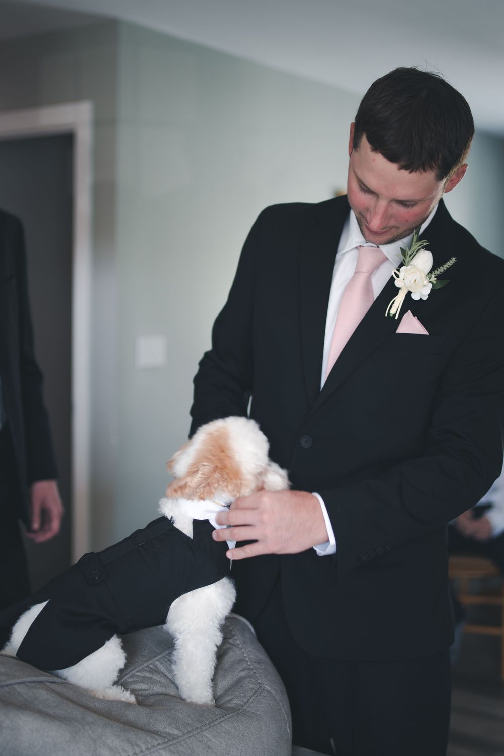 Groomsman in black tuxedo and pink tie pets a small white dog on grey couch.