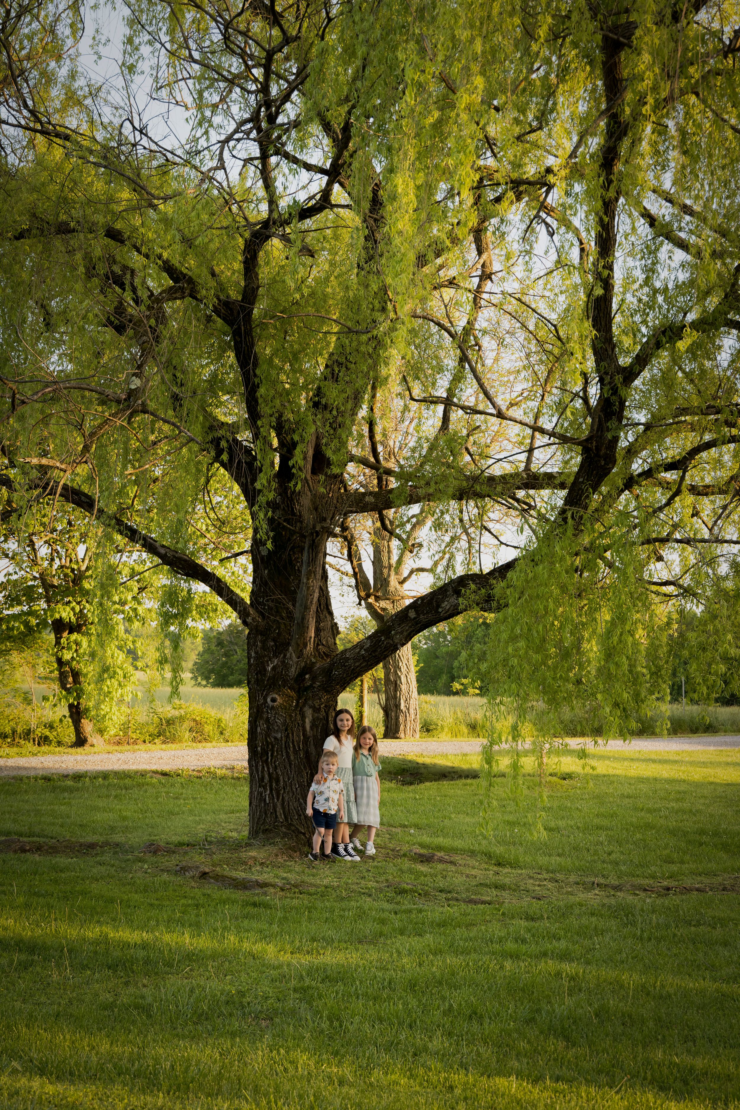 Three children stand beneath a large weeping willow tree on a sunny day in a lush green park.