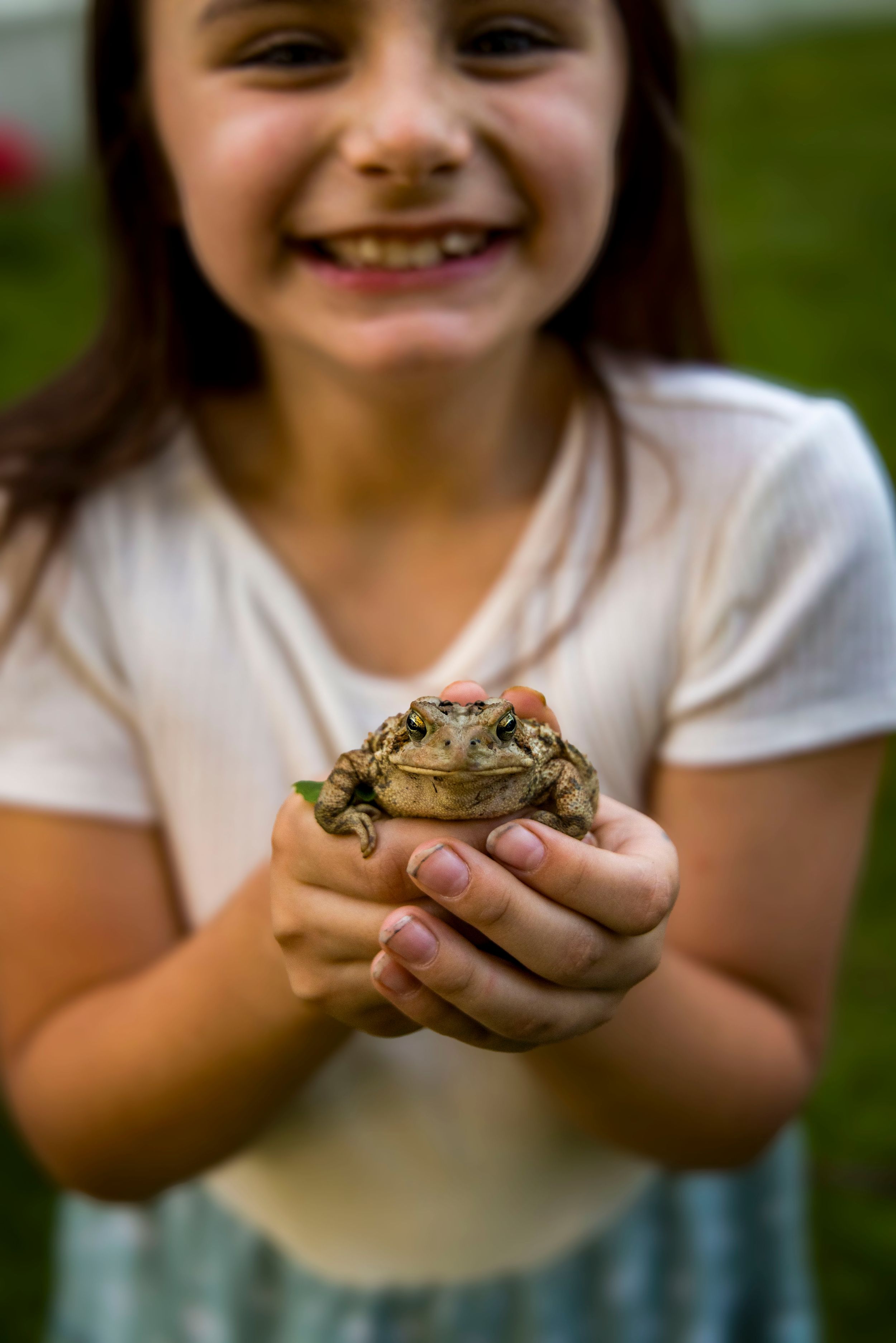 Smiling young girl with missing teeth holding a large brown toad in her cupped hands outdoors.