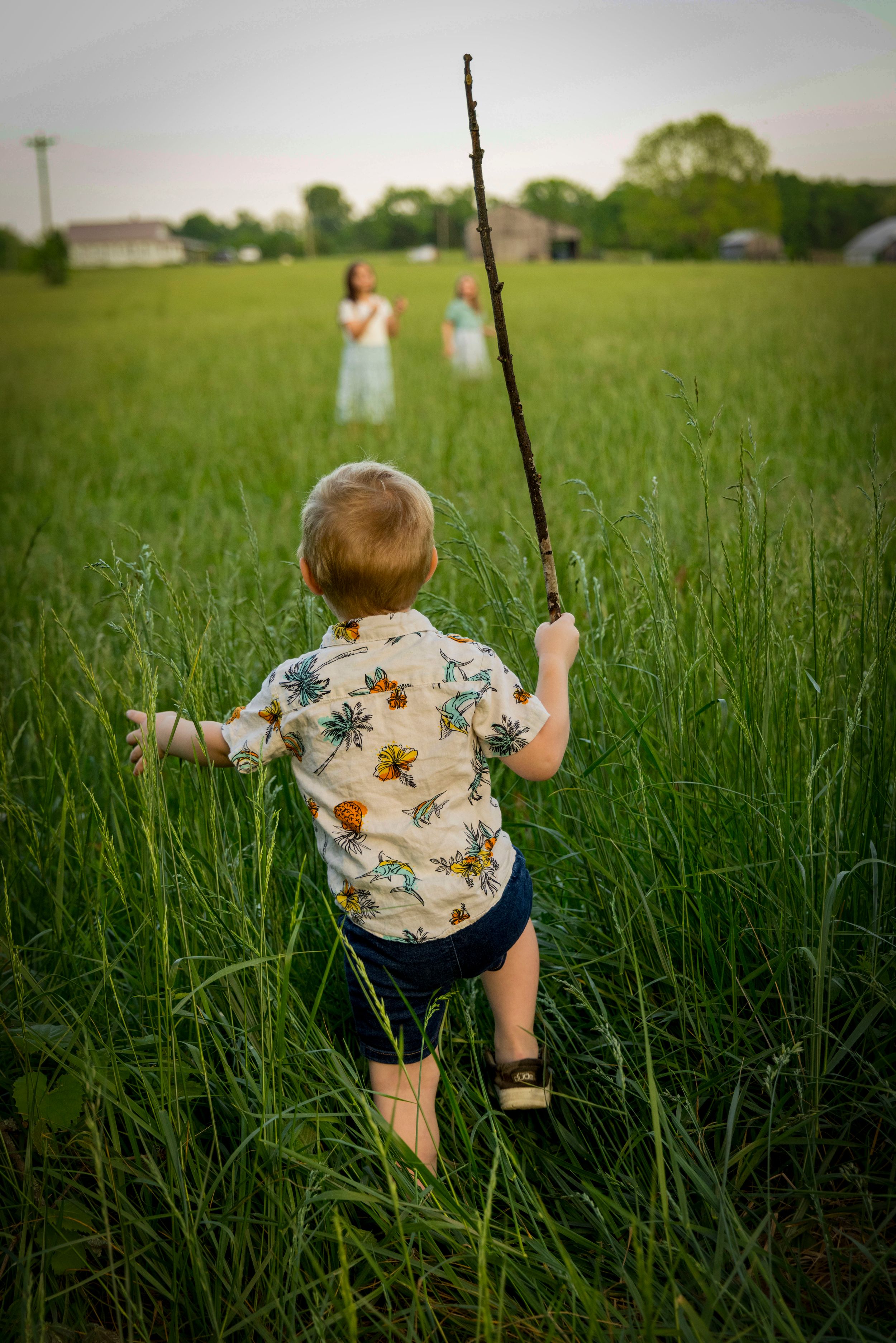 Child holding a stick while walking through tall grass in a rural field following his siblings