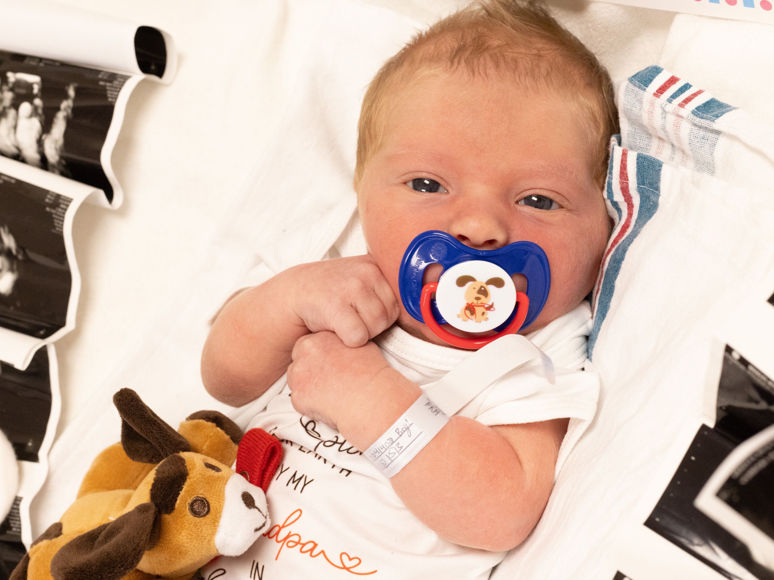Newborn baby with blue pacifier lying on white blanket with ultrasound photos and stuffed animal toy.