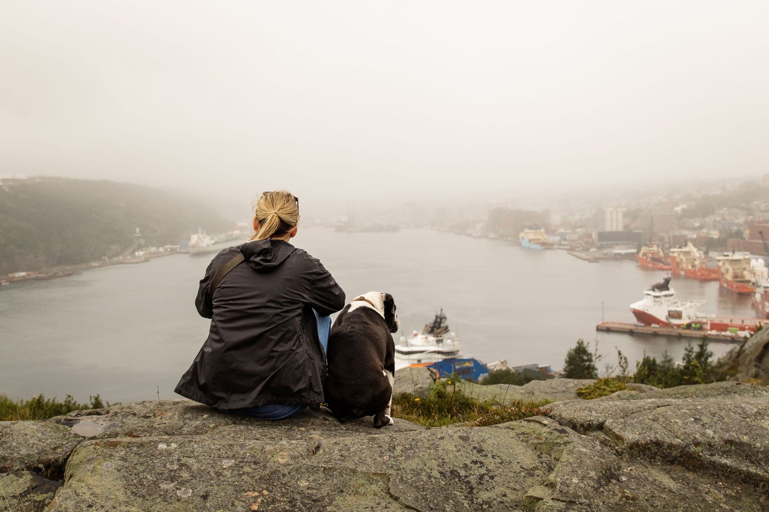 Dog and Dog-mom sit on a rocky outcrop overlooking a misty harbor town with boats and buildings below.