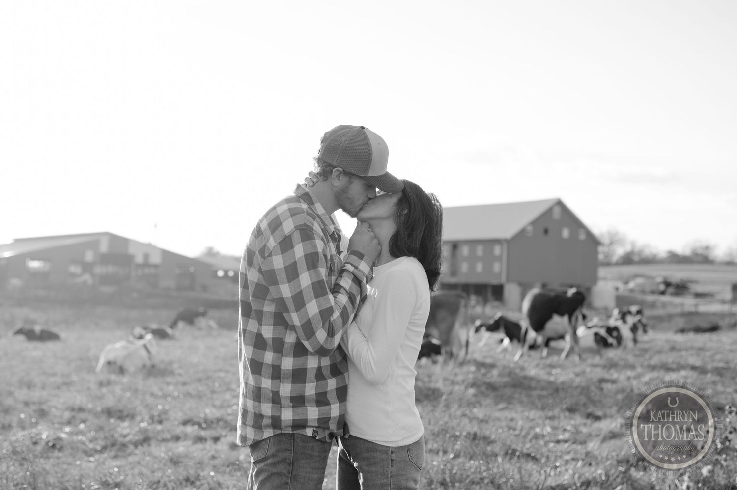 A couple shares a romantic moment in a black and white photo on a farm with grazing cattle in the background.