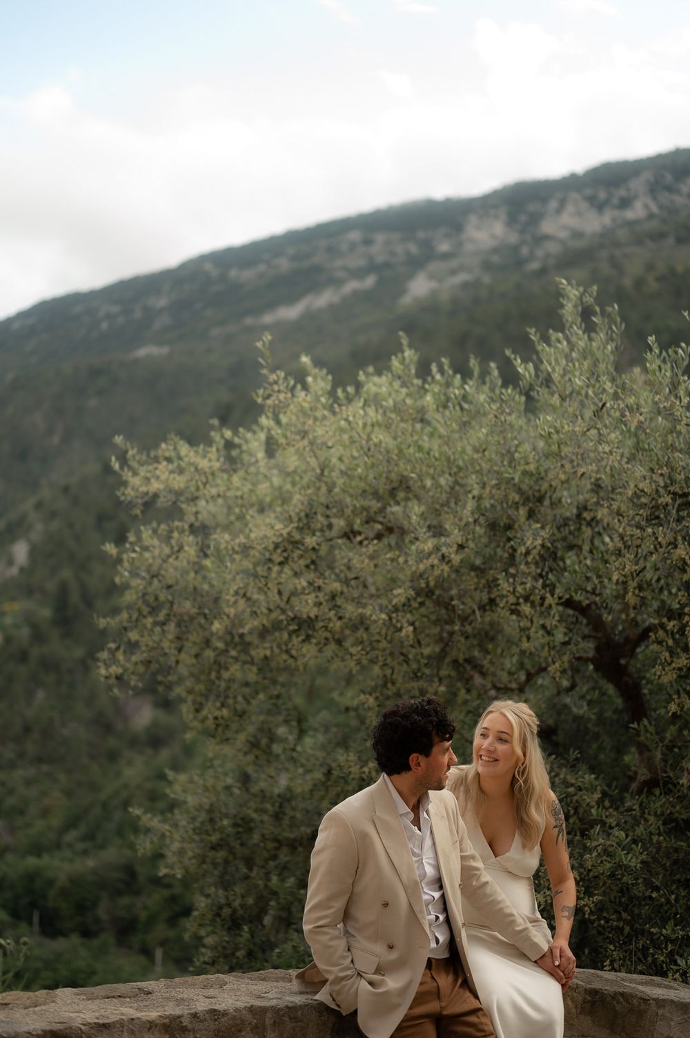 Scenic mountain landscape with olive trees creating natural backdrop.