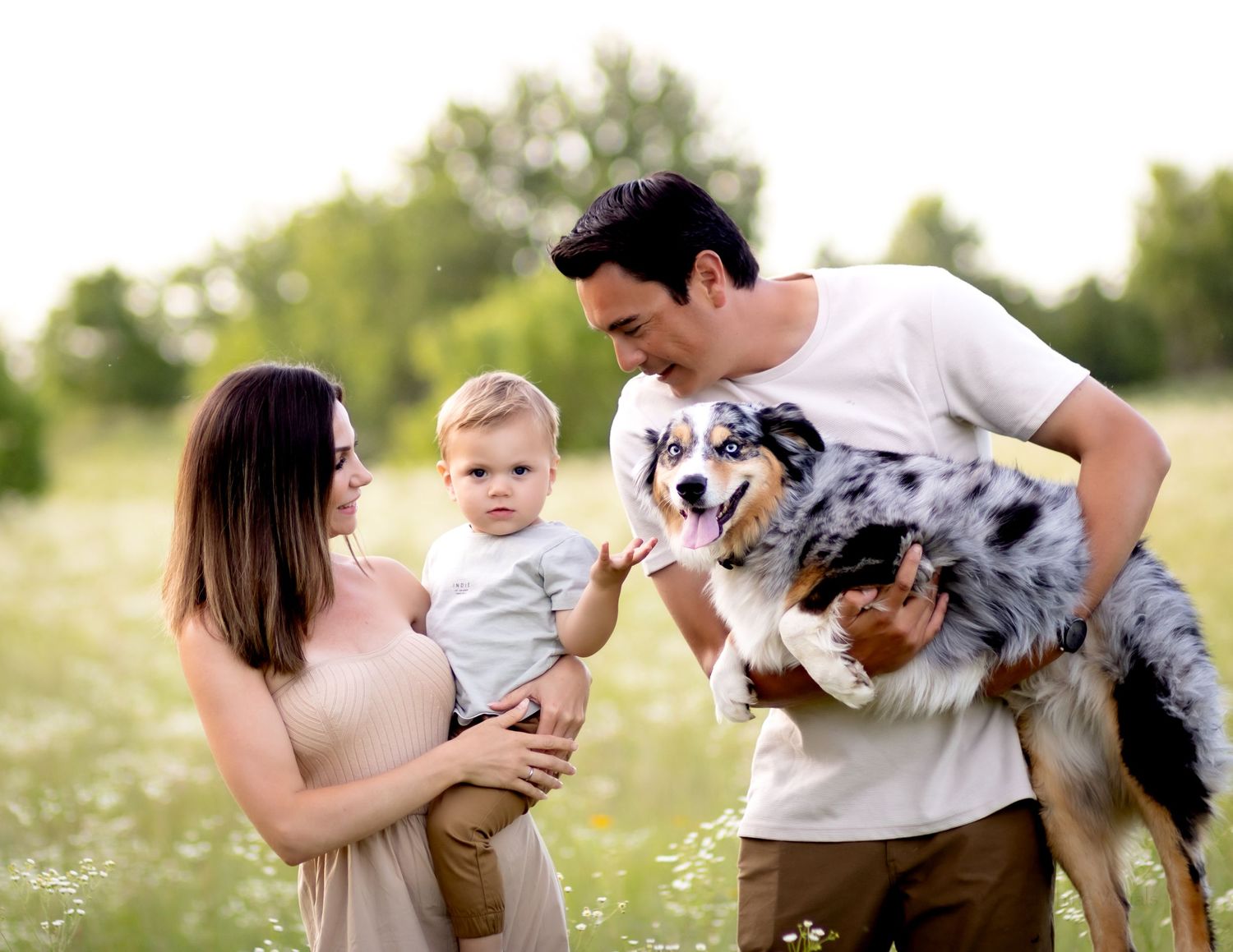 A family enjoys a sunny day outdoors together with their Australian Shepherd dog in a grassy field during golden hour.