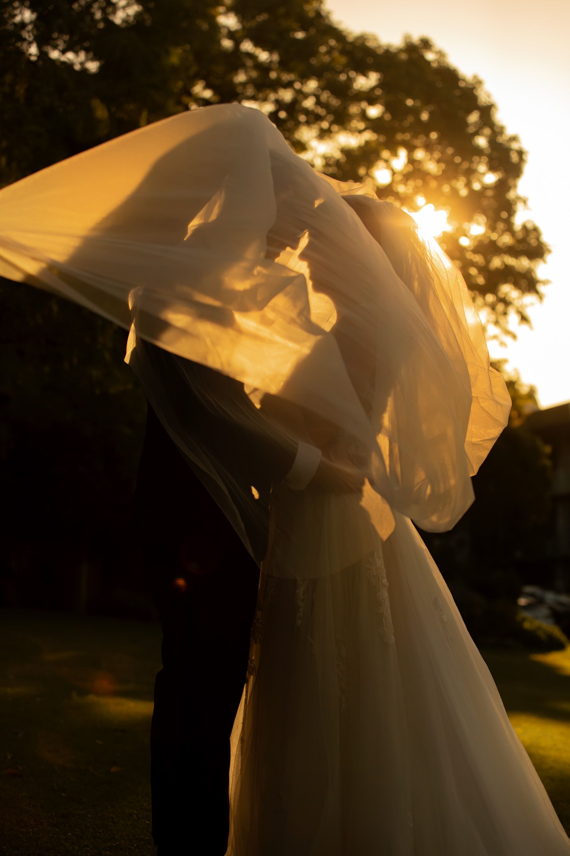 Bride and groom embrace under billowing veil with stunning golden sunset backlight in garden.