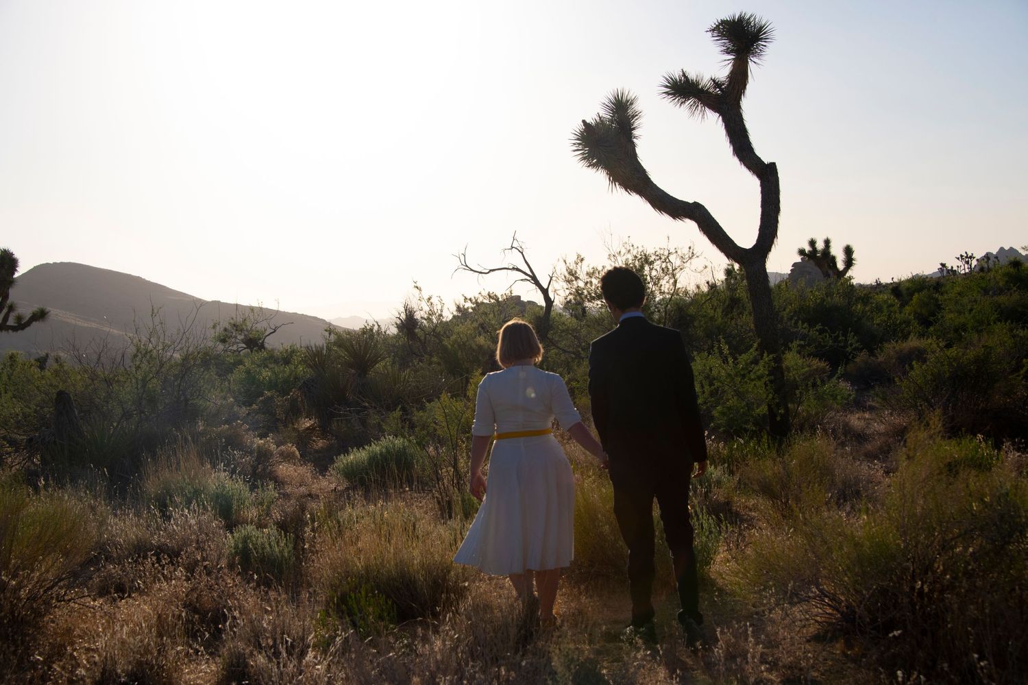 Elopement photography of a couple walking through the desert in the late day. Joshua Tree, California Elopement photographer.