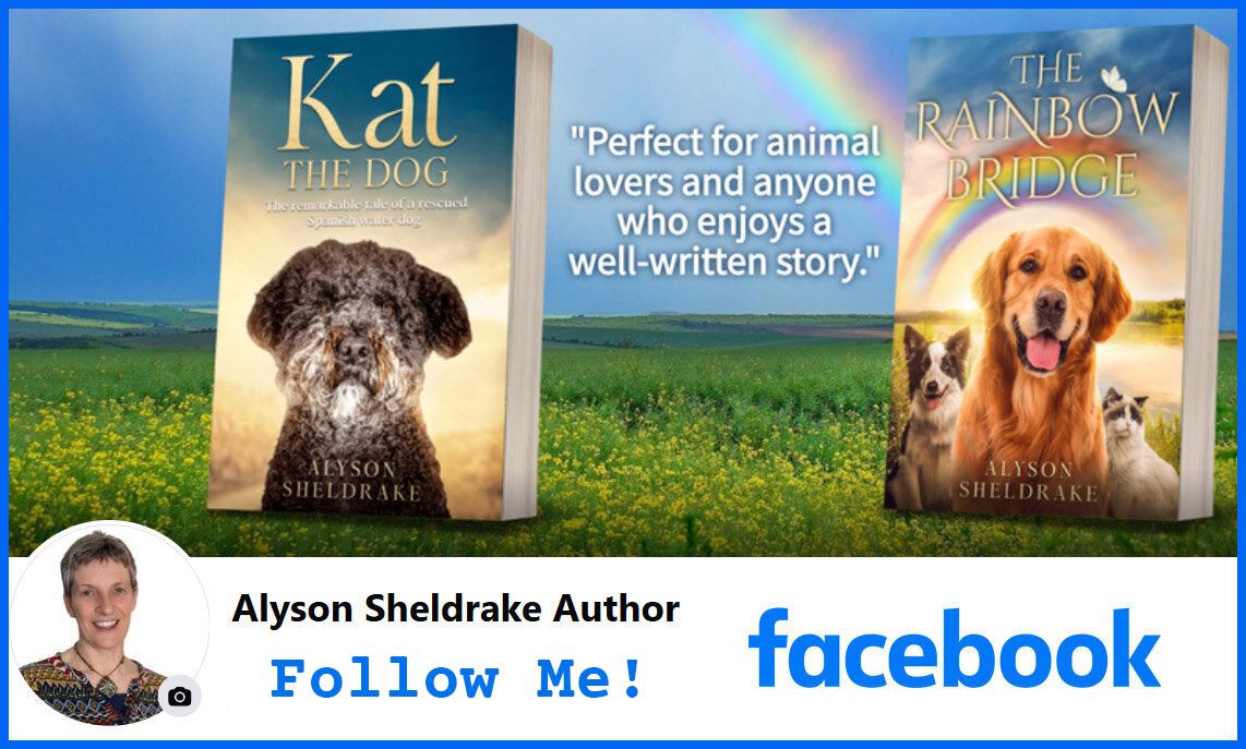 Alyson Sheldrake Author Facebook follow ad featuring Kat the Dog and The Rainbow Bridge books.