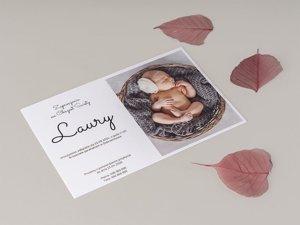 Scattered business cards and pink leaves arranged artistically on a light gray surface.