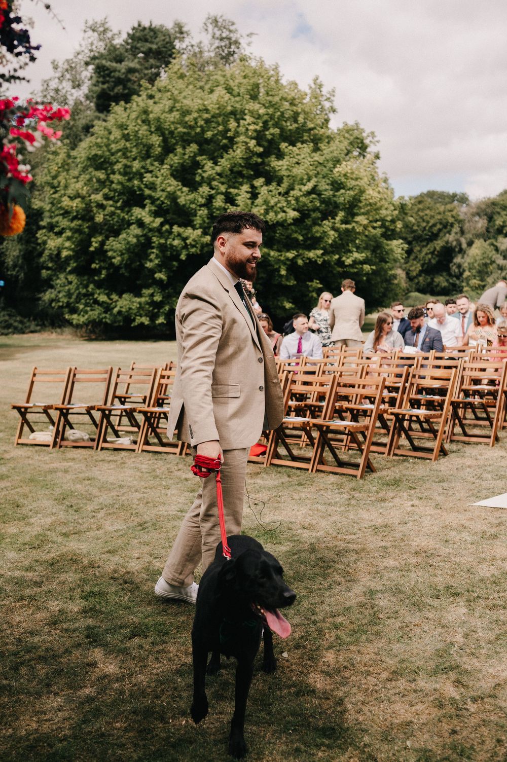 Black dog in a red bowtie walks with person in beige suit at outdoor wedding ceremony setup with wooden chairs.