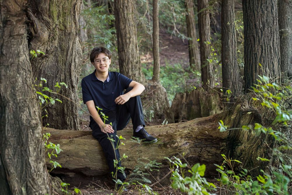 Person sits on fallen tree trunk in lush forest setting with sunlight filtering through dense canopy.