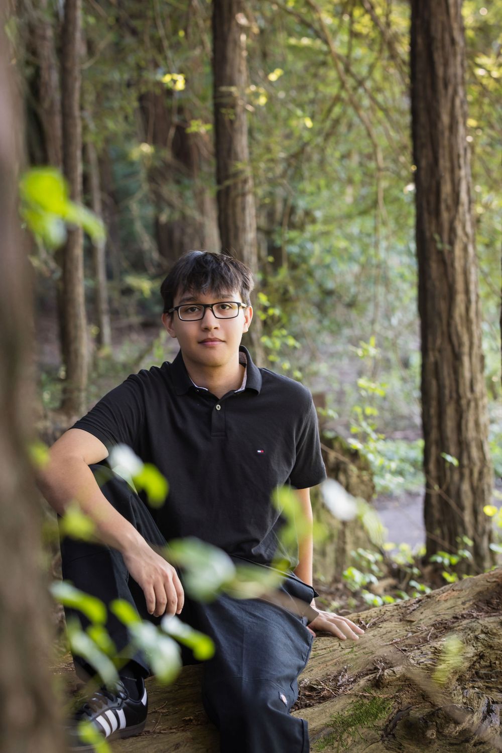A person in a black polo shirt sits on a mossy log in a peaceful forest setting.
