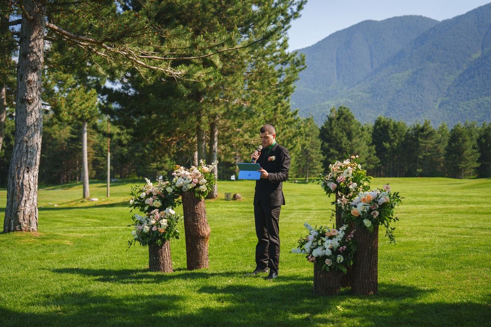 Rolling green hills dotted with tall evergreen trees stretch toward distant mountains under a bright summer sky.