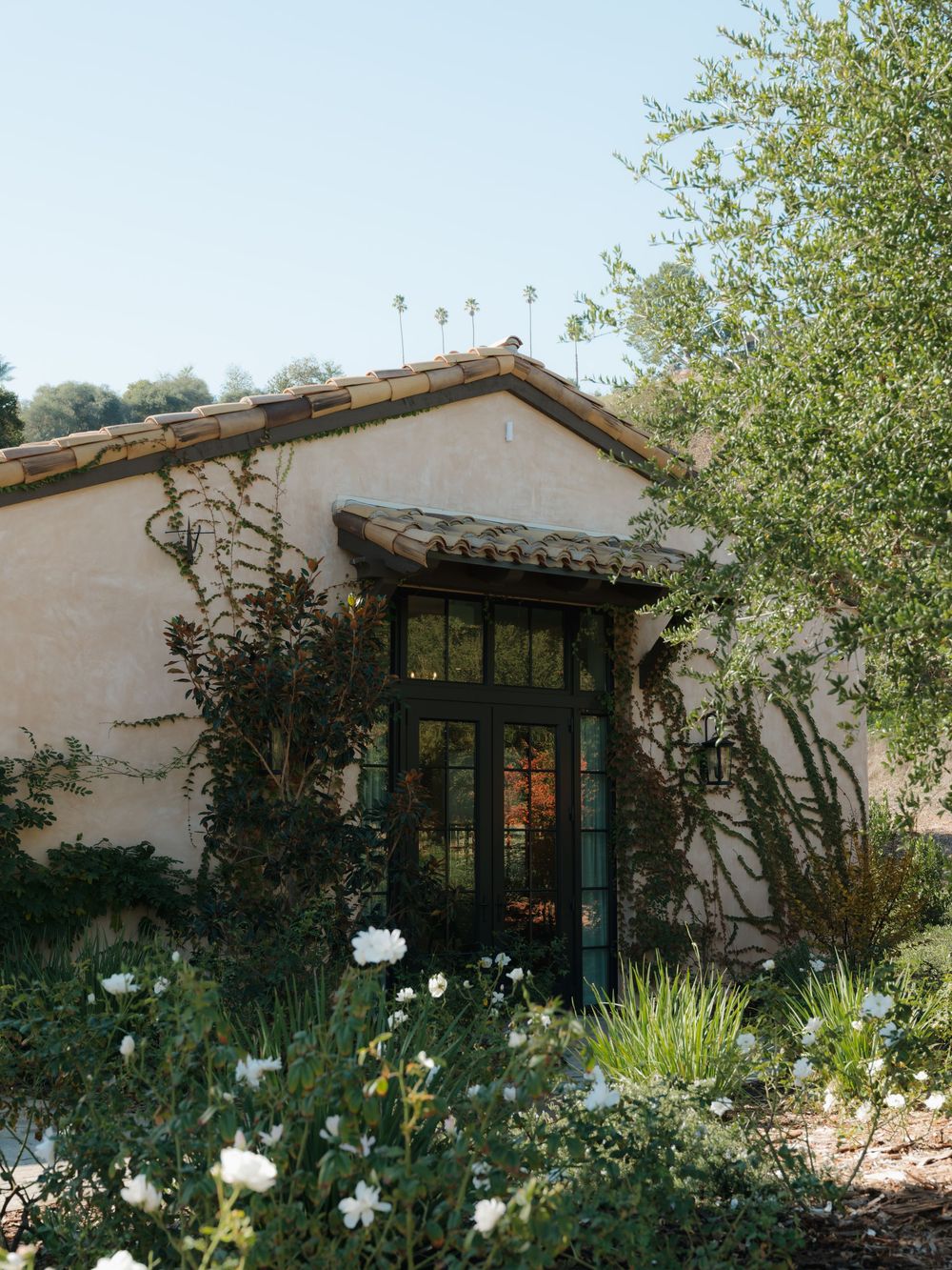 Elegant Spanish-style building exterior with climbing vines and white flowers in a garden setting.