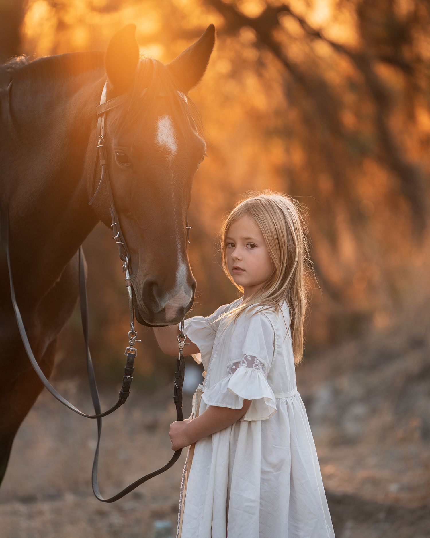 sesion-fotografica-con-caballos-santiago