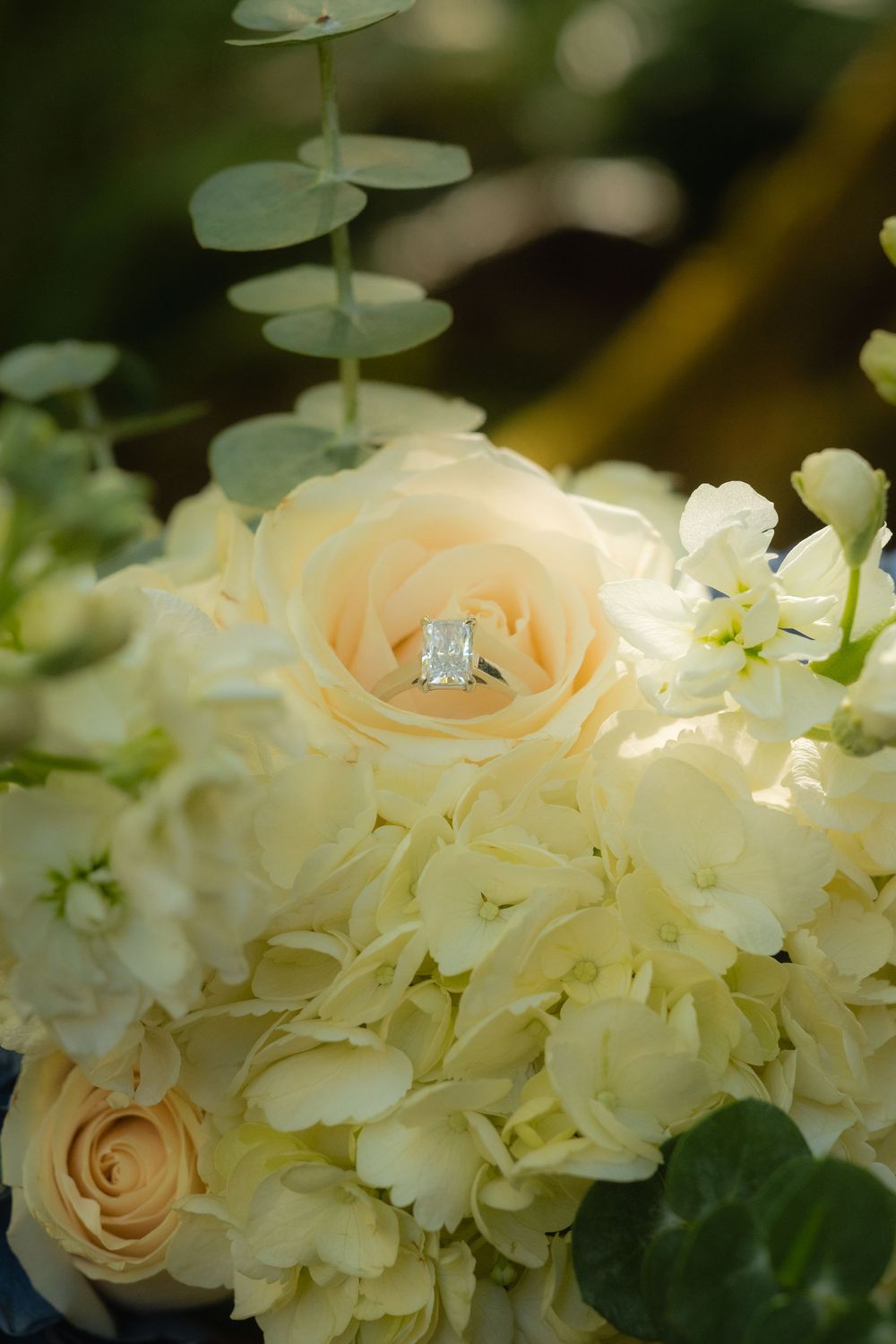 Close-up of diamond ring nestled in pale peach roses and white hydrangeas.
