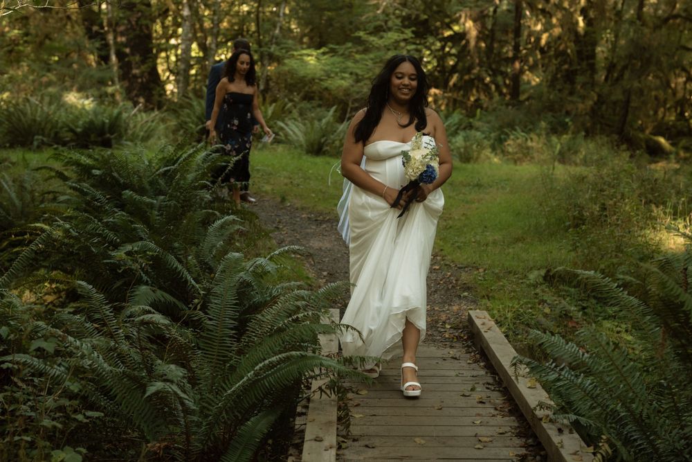Wedding party poses on wooden walkway surrounded by lush green forest ferns.