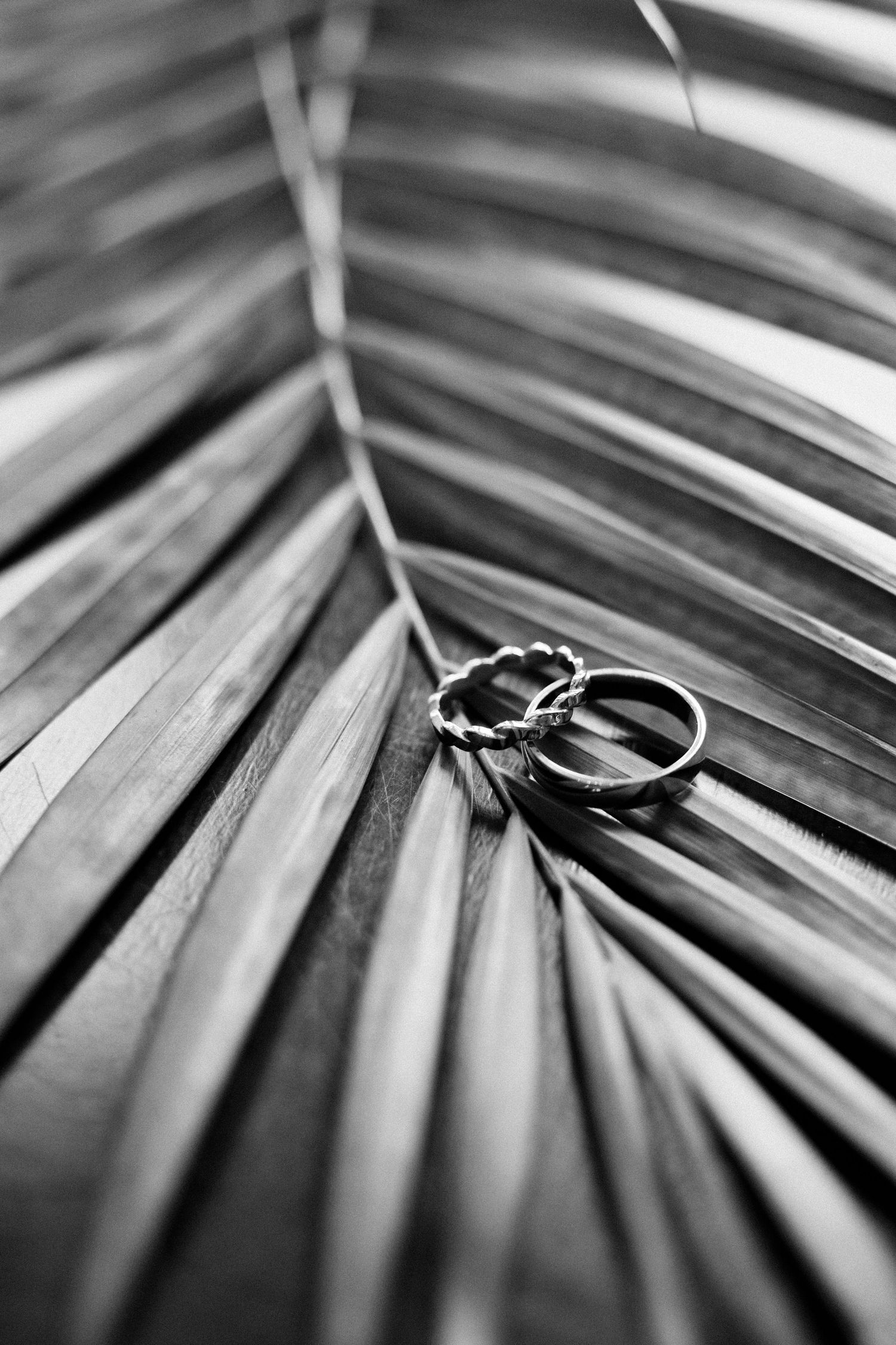 A black and white macro photograph shows a wedding ring balanced on radiating palm frond lines creating dramatic contrast. Shot by Luminair