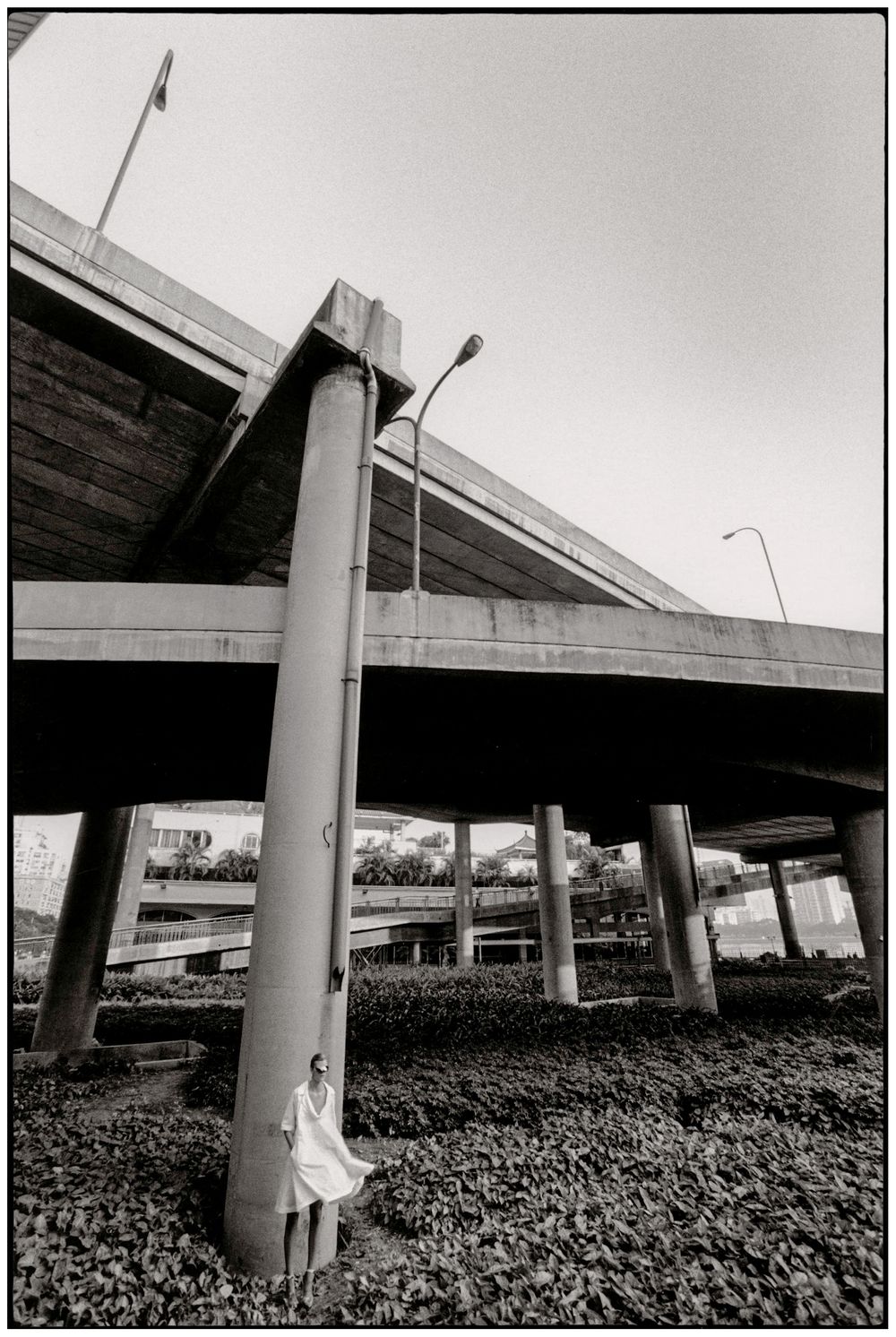 A series of black and white photographs showing concrete highway overpass support columns among vegetation.