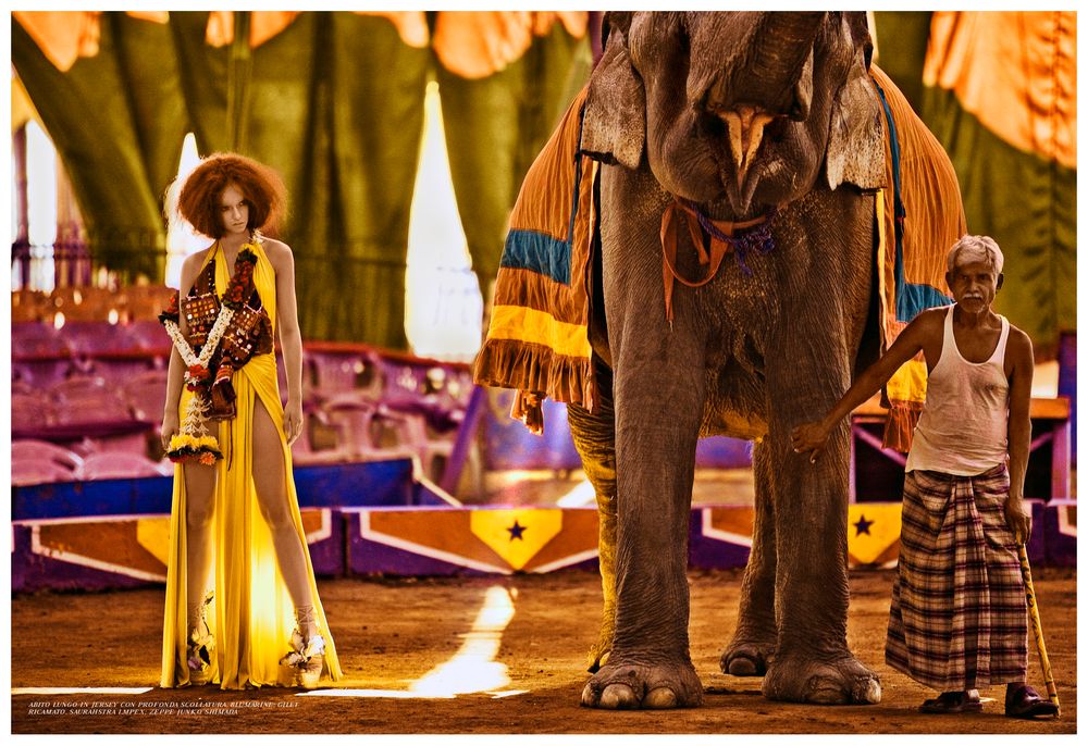 Illuminated theme park display featuring an elephant figure and costumed performers in a warm-lit setting.