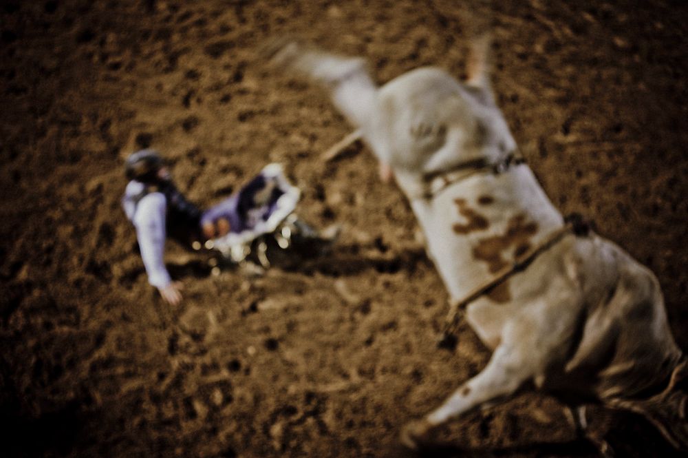 A white dog rolls playfully in dirt and leaves on the ground while enjoying outdoor playtime.