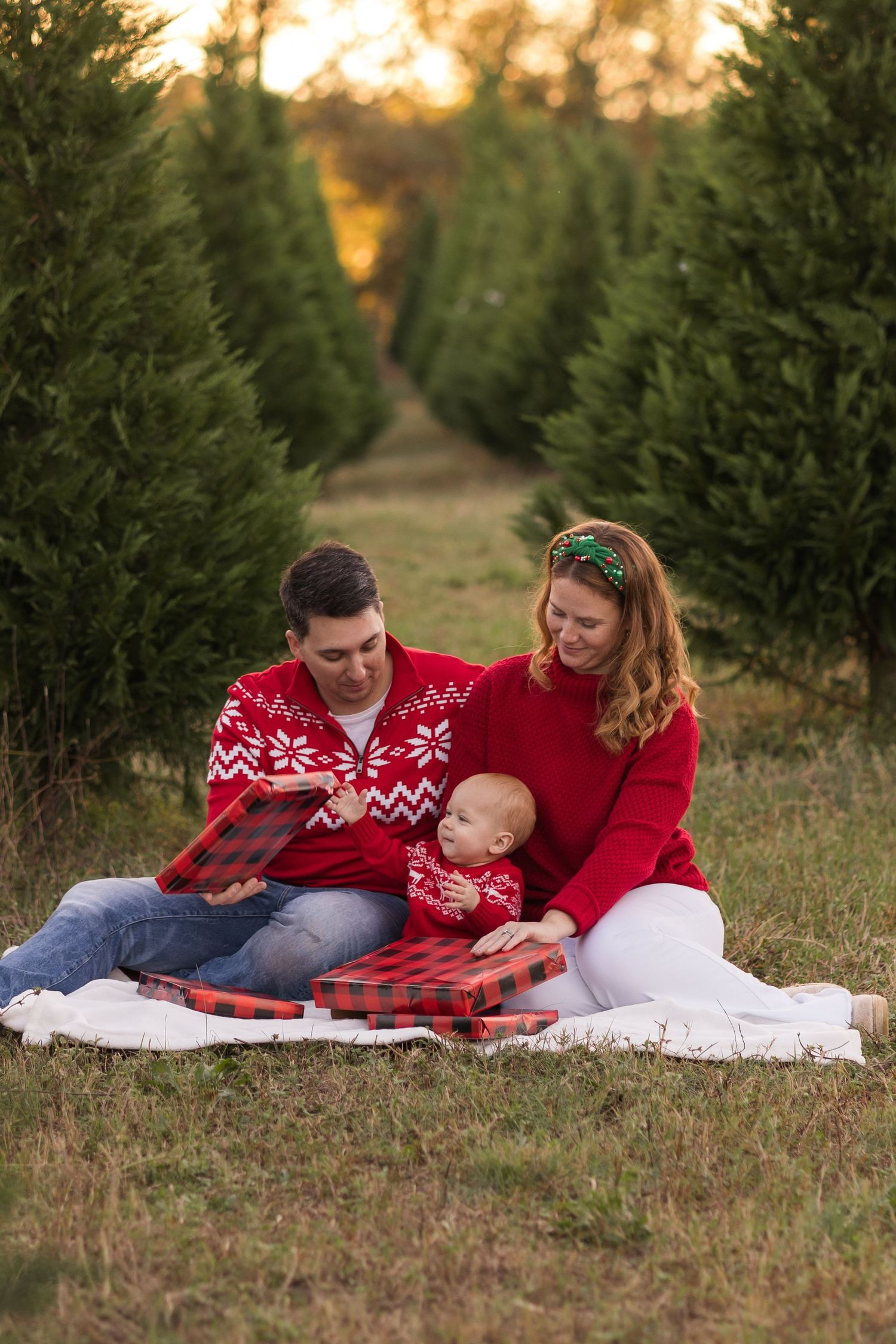 A family reads together on a blanket among evergreen trees at sunset.