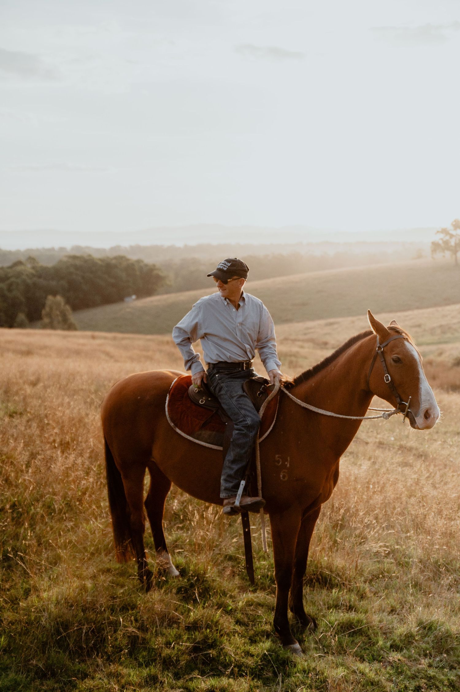 Man on horseback in rural field at golden hour - business lifestyle photography Yarra Valley