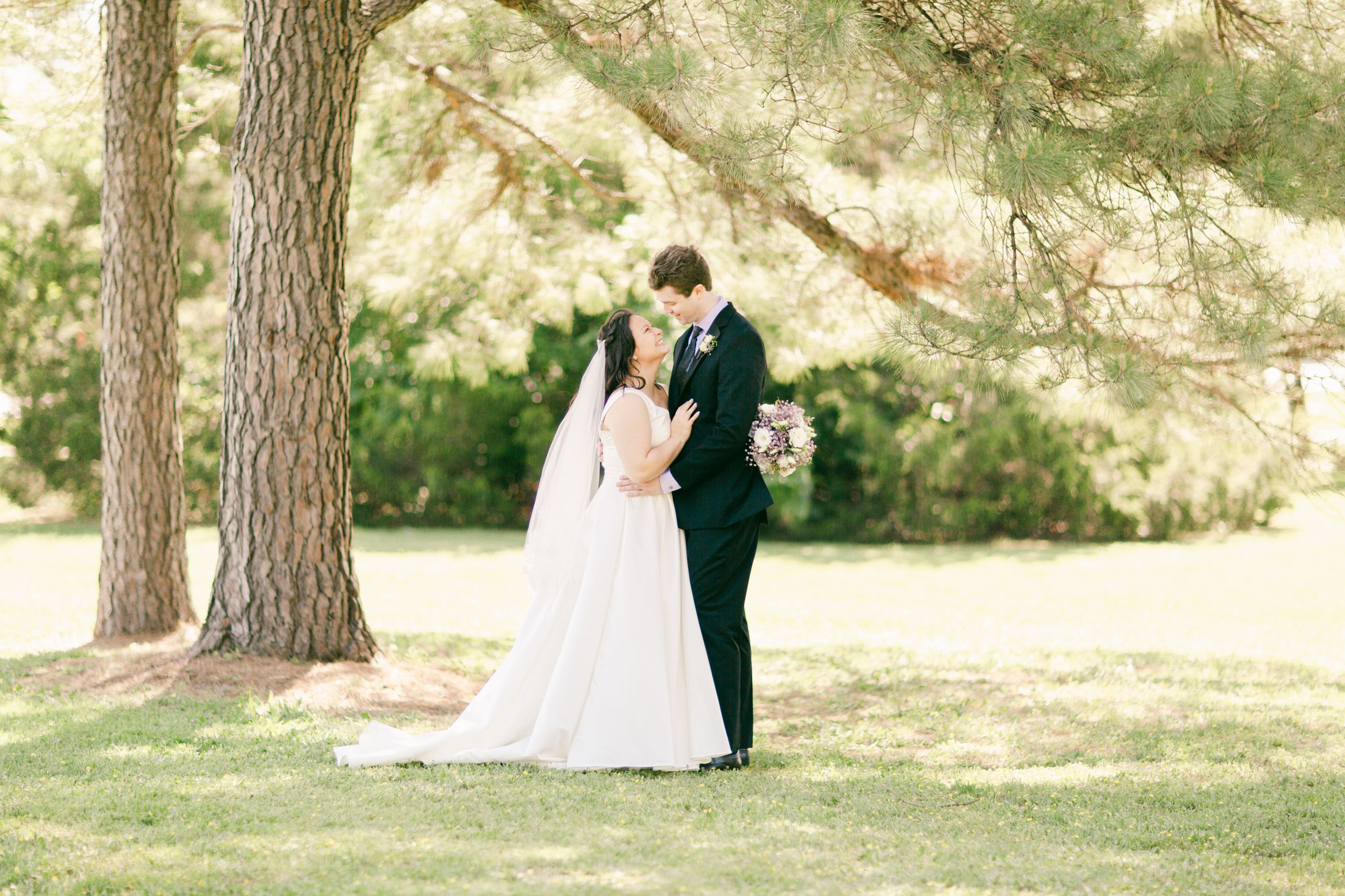 Wedding couple sharing an intimate moment beneath pine trees in a sunlit garden.