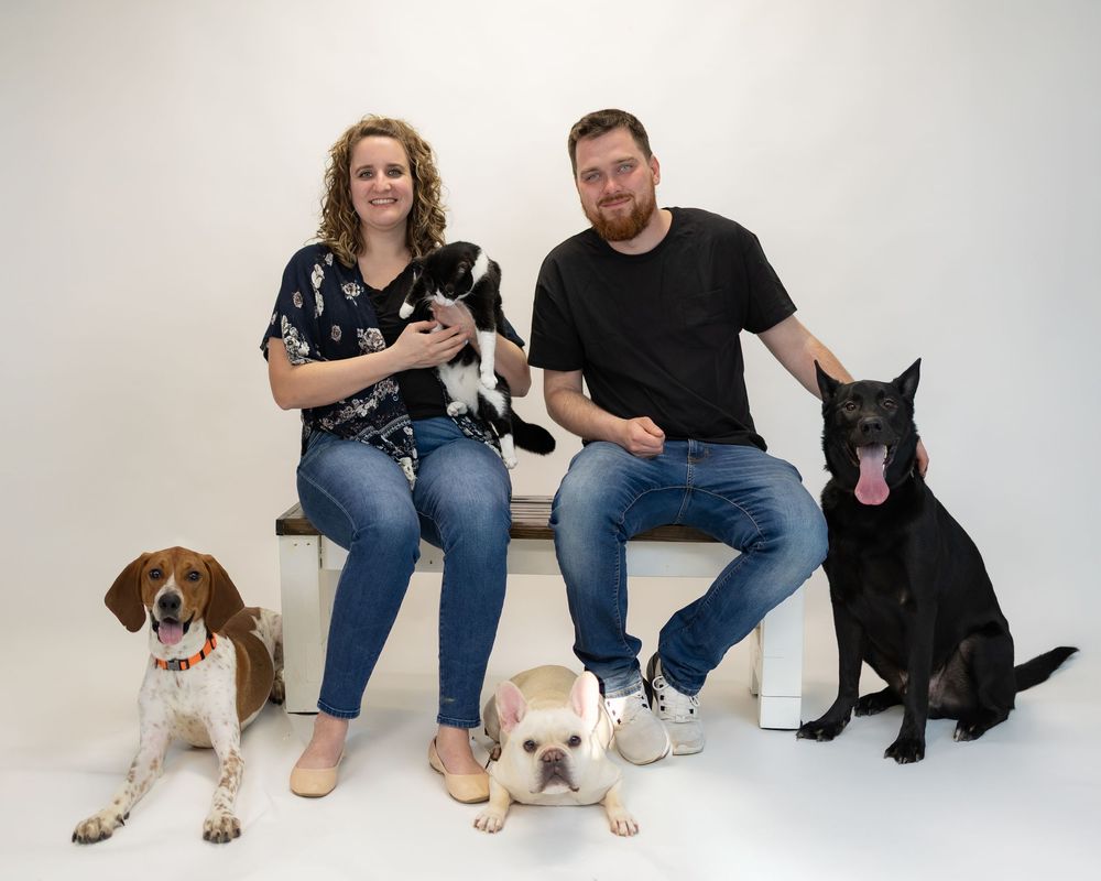 A family photo session showing people sitting with four dogs including a German Shepherd, Beagle, and other mixed breeds.