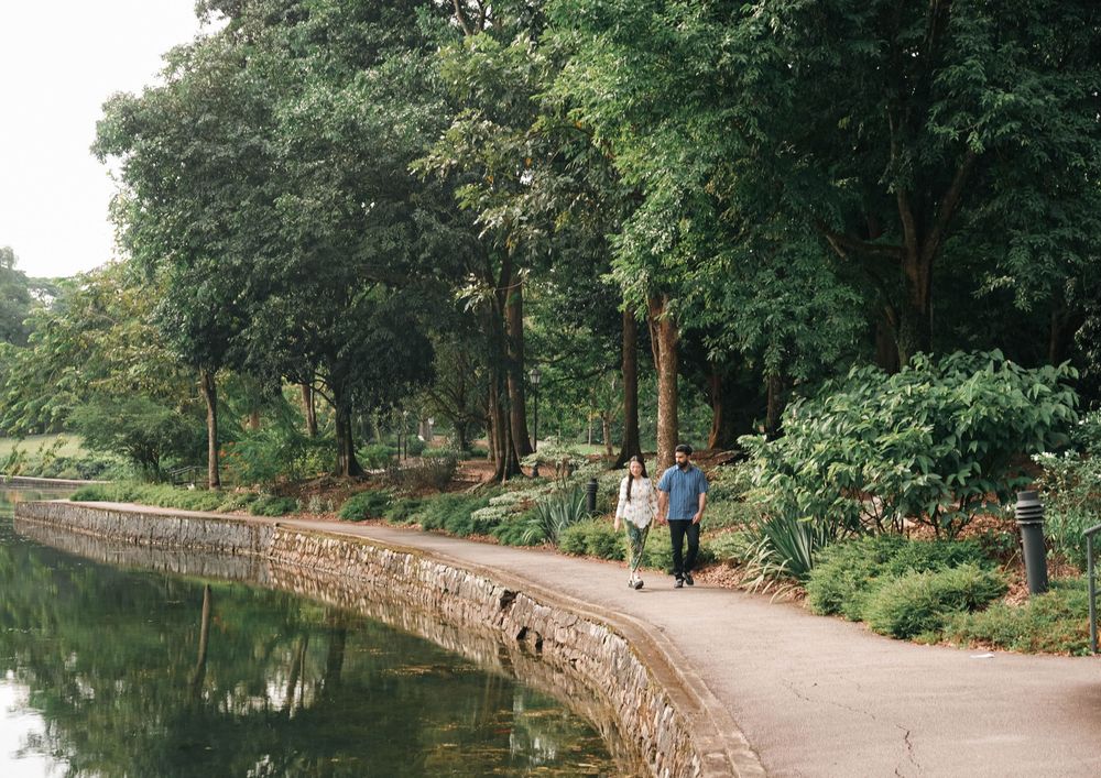 A serene path follows alongside a tranquil pond in a lush park setting with stone walls and overhanging trees.