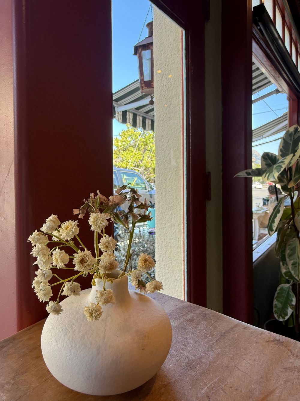 White ceramic vase with dried hydrangea flowers sits on a windowsill with sunlight streaming through windows.